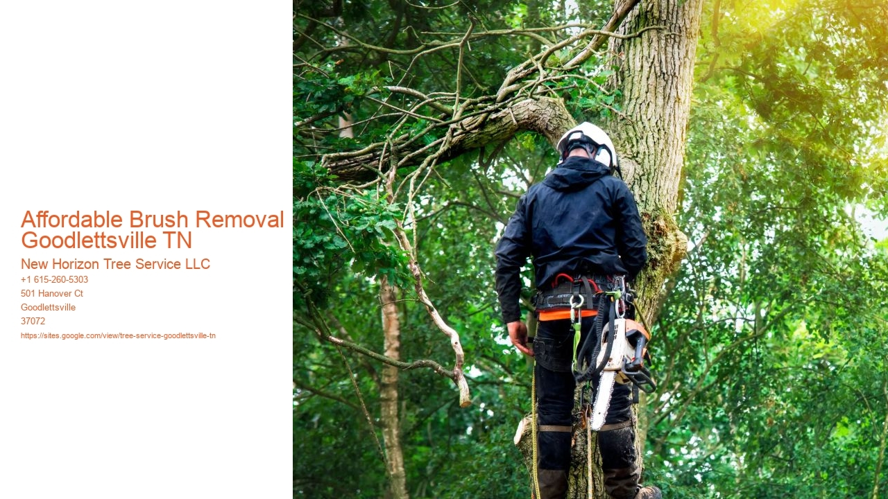 Affordable Brush Removal Goodlettsville TN