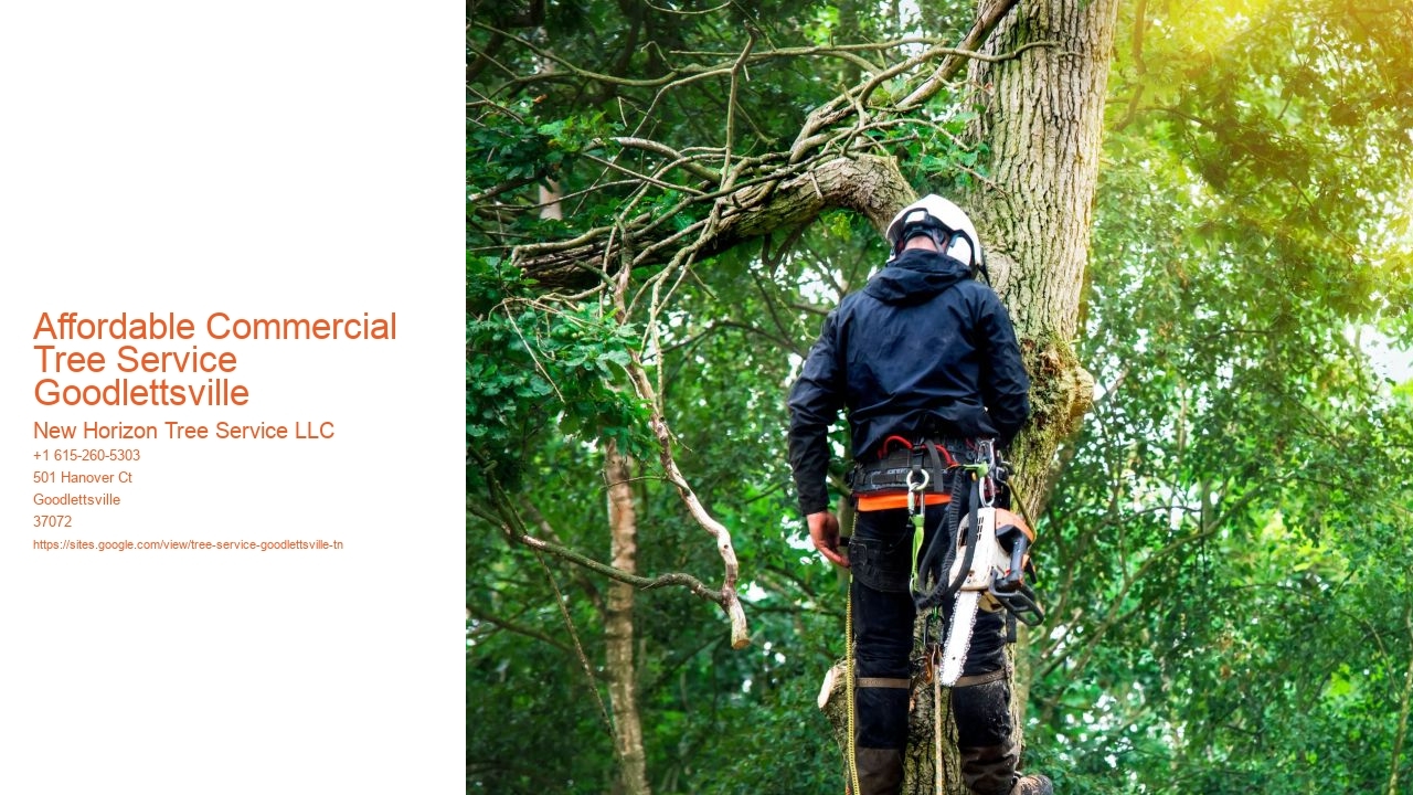 Affordable Commercial Tree Service Goodlettsville