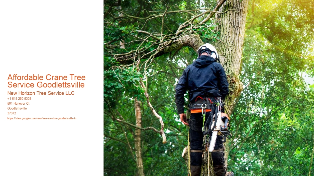Affordable Crane Tree Service Goodlettsville