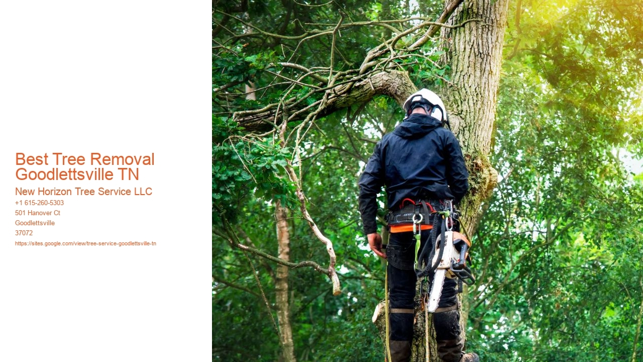 Best Tree Removal Goodlettsville TN